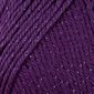 Caron Simply Soft Party Yarn "Purple Sparkle" #00006 H97PAR