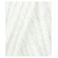 RED HEART Laine SUPER SAVER "Blanc doux" #316 (E300) Solide