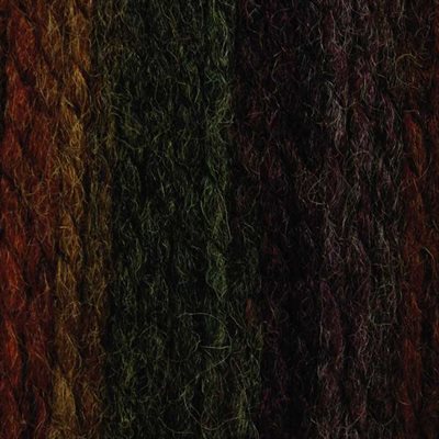 PATONS Shetland Chunky Yarn "Harvest Variegated" #78607 (241078)