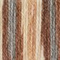 PATONS Decor Yarn "Woodbine Variegated" #87231 (244087)