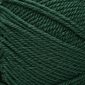 PATONS Canadiana Yarn "Ivy" # 10761 (244510)